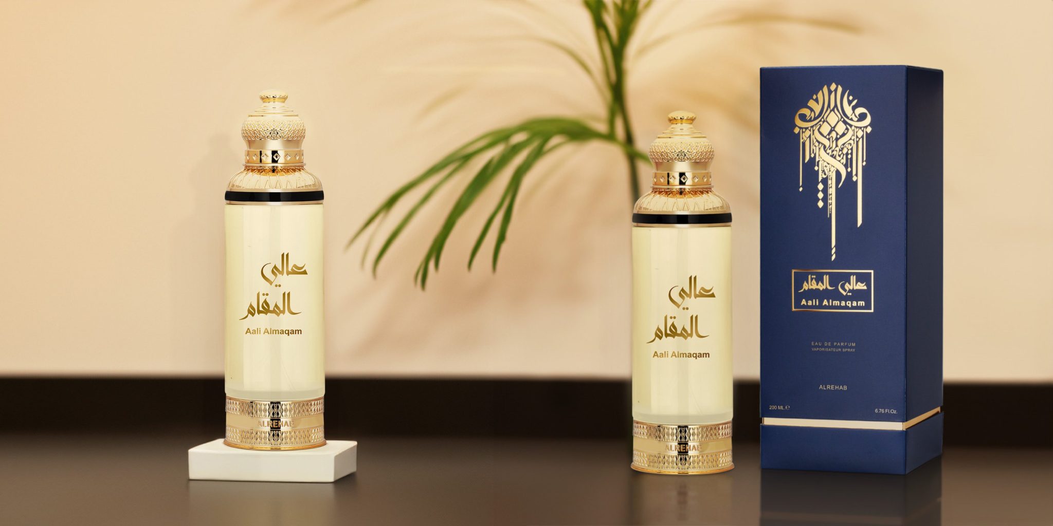 434552165_2456906444697206_8030090470971737652_n